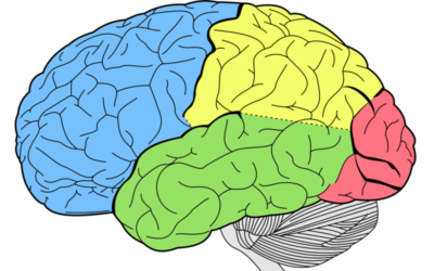 Commencer une psychothérapie pour soigner la psychose ?